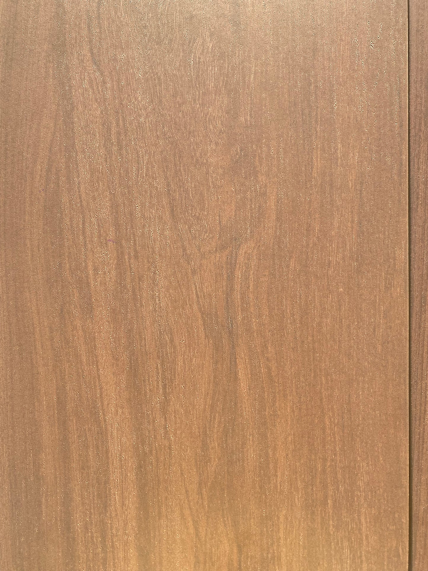 Piastrelle 42x82 Elite ambra rettificato opaco