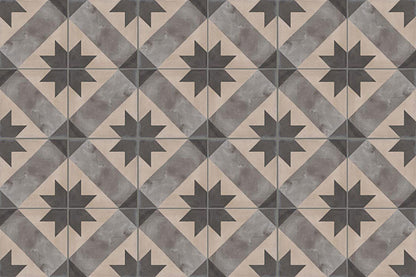 Piastrella 20x20 Serie Terra stella f bianco nero matt